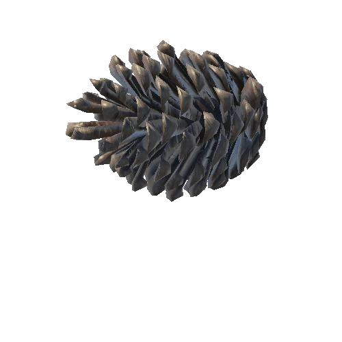 pine cone 1_low
